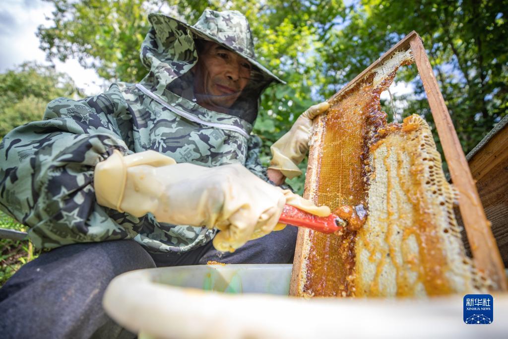 抢皇冠游戏